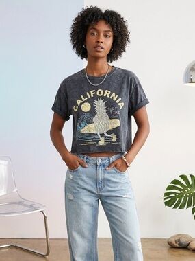 Y2K Retro California Surf Pineapple Distressed Crop Top